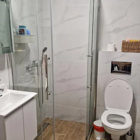 Dusica Apartman, Rosa Lux, *