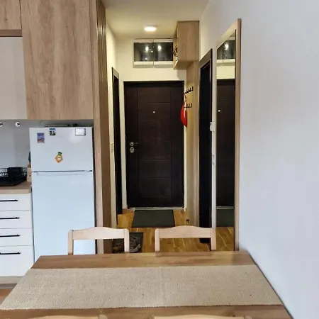 Apartman Dusica Apartman, Rosa Lux, Zlatibor