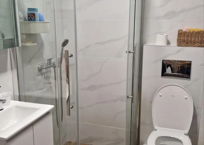 Dusica Apartman, Rosa Lux, *